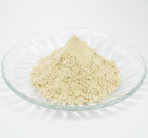 Dried Yeast